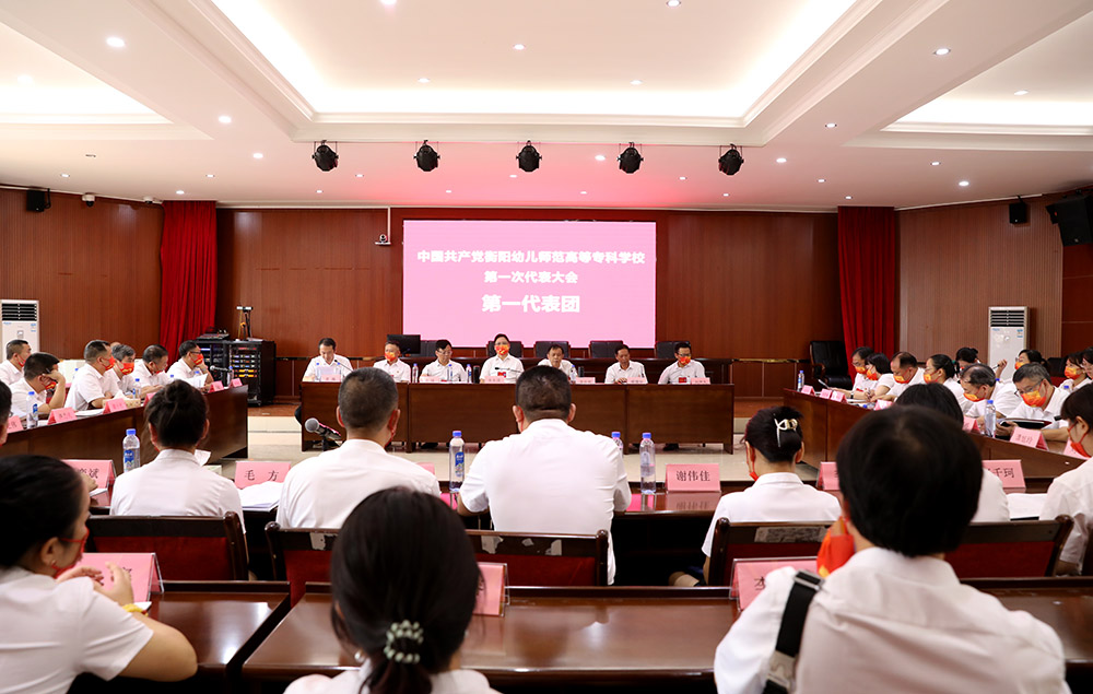 衡陽幼兒師范高等?？茖W(xué)校第一次黨代會(huì)代表熱議大會(huì)工作報(bào)告